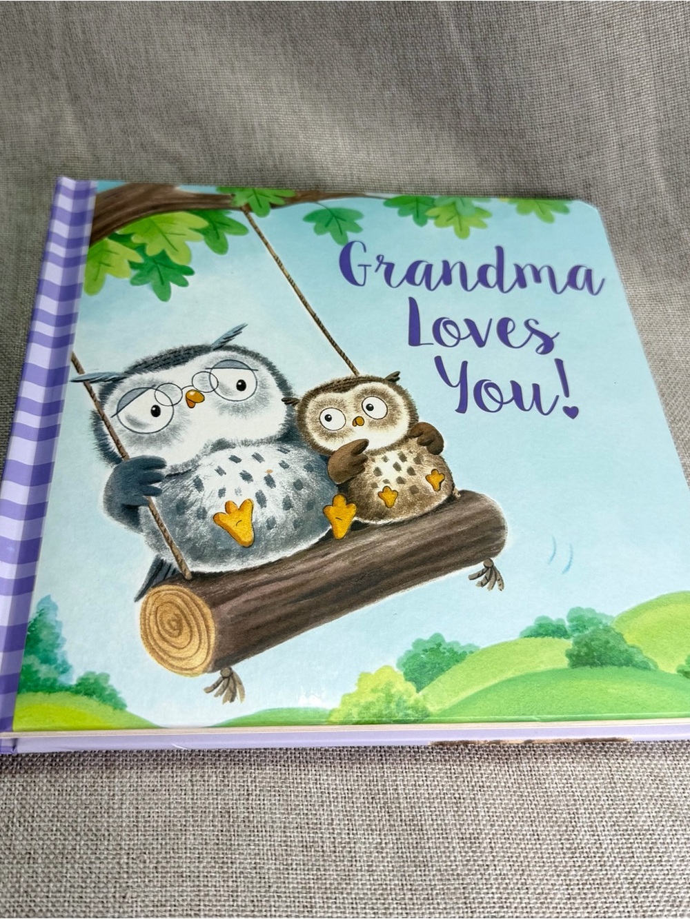 Grandma Loves You! Illustrated Owl Board Book